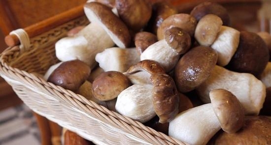 Как солить белые грибы сухим способом?