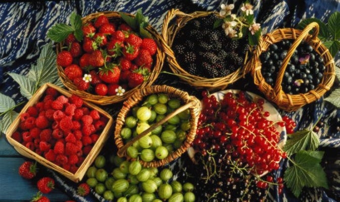 Варенье из лесной ягоды: рецепт