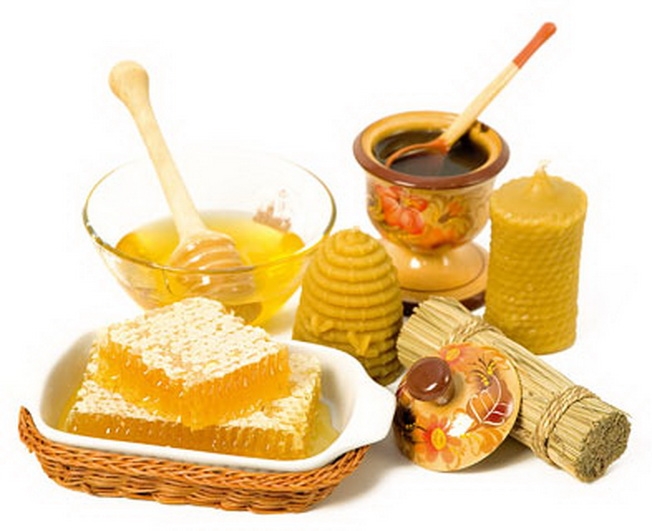 Донниковый мед: полезные свойства