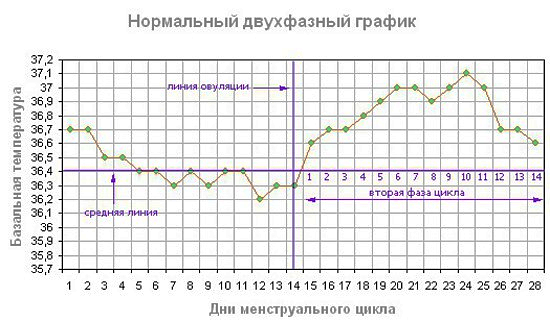 Как с помощью графика измерений уровня базальной температуры определить наступление фазы овуляции?