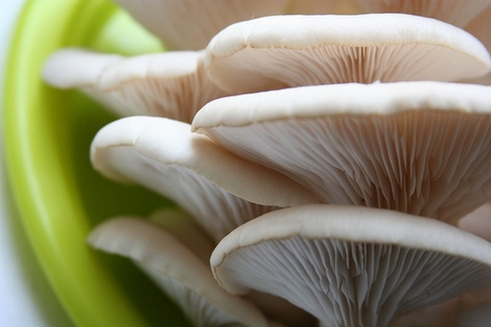 Как готовить грибы вешенки?