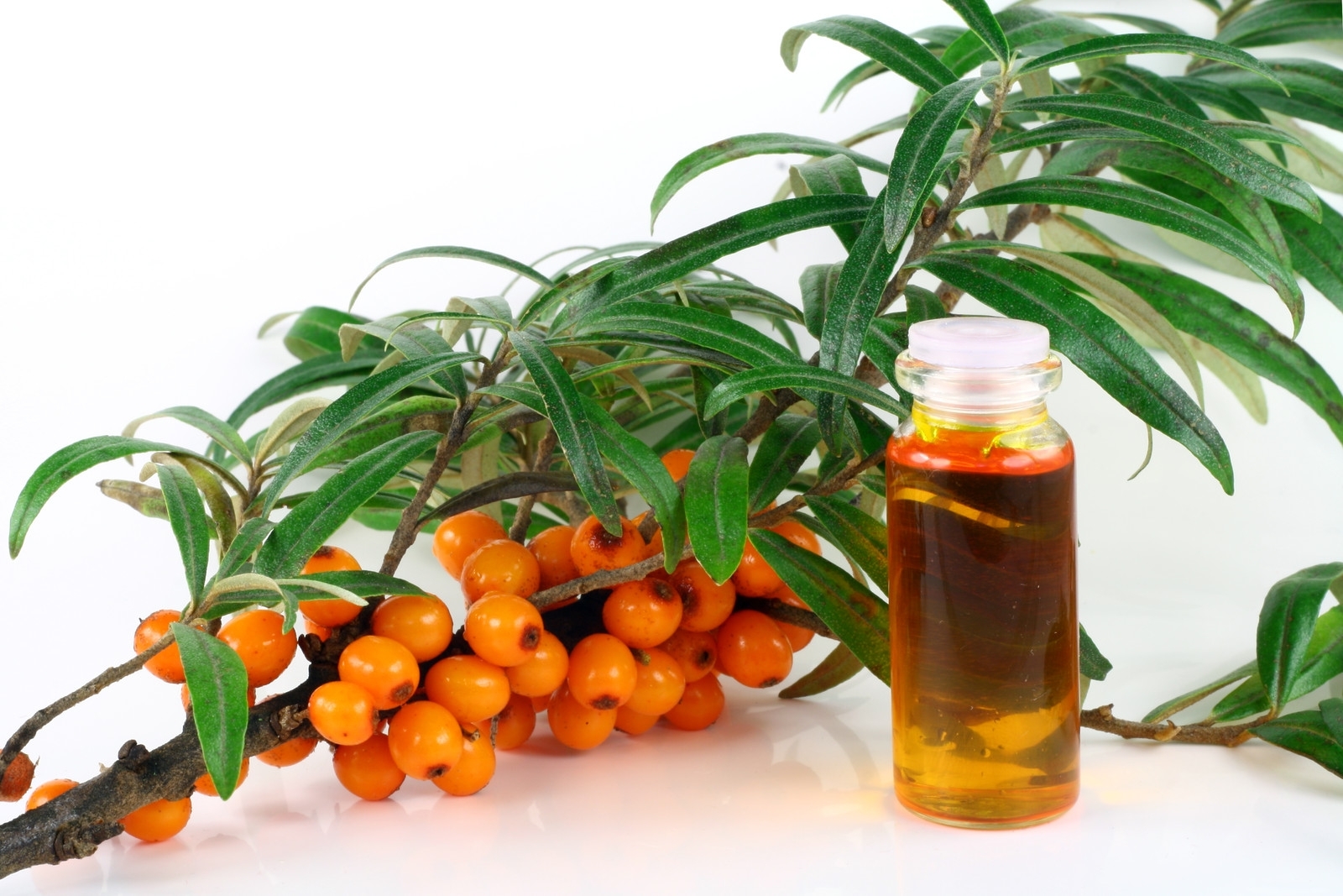 Облепиховое масло – кладезь витаминов, минералов и других полезных веществ