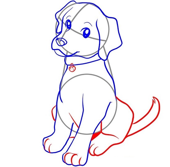 Как нарисовать собаку карандашом лабрадора? 