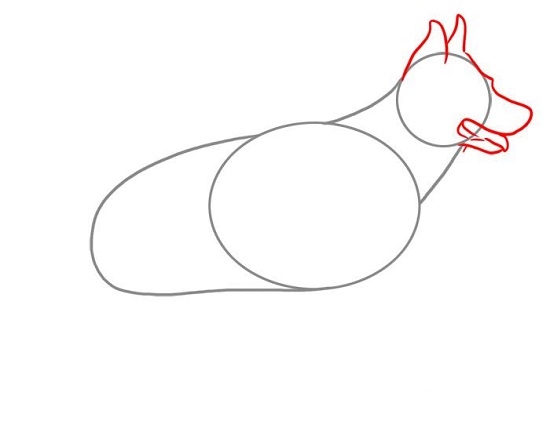 Как нарисовать собаку карандашом – овчарку? 