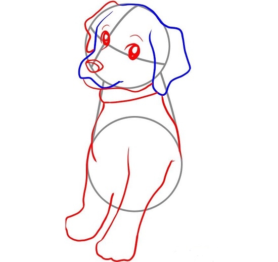 Как нарисовать собаку карандашом лабрадора? 