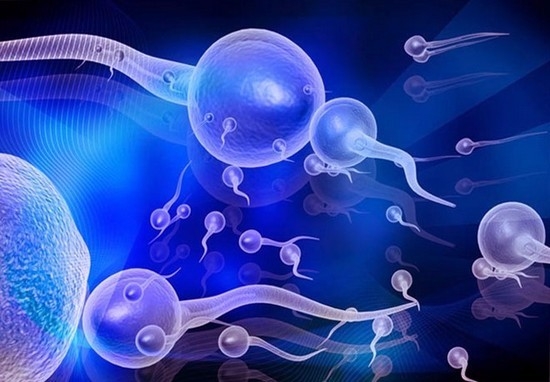 Как улучшить качество спермы