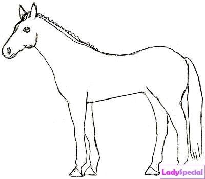 Пятый этап рисования лошади карандашом