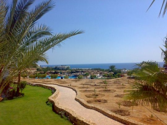 Отдых в Египте: побережье