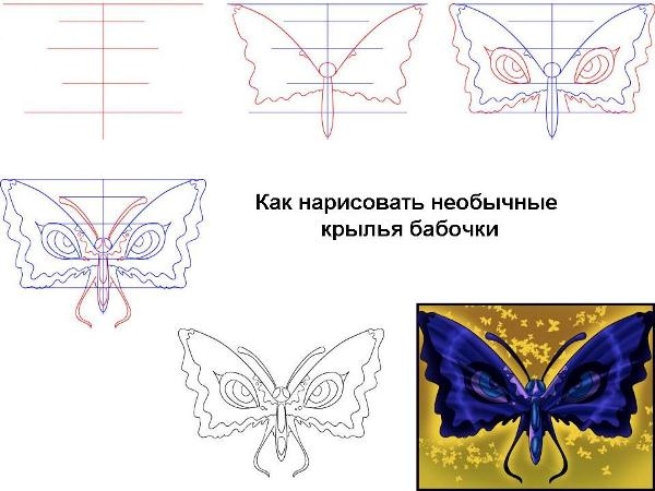 Как нарисовать бабочку?