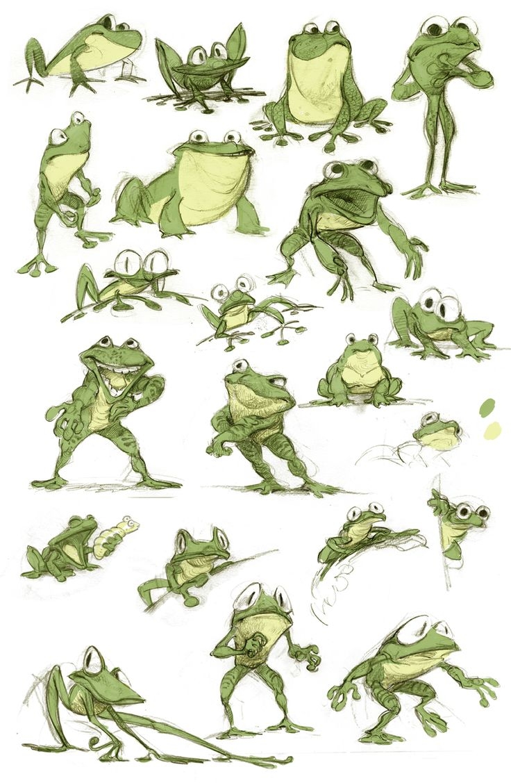 Как нарисовать лягушку
