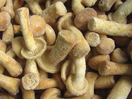 Жареные грибы – необычный способ заморозки, зато их можно сразу добавлять в готовое блюдо