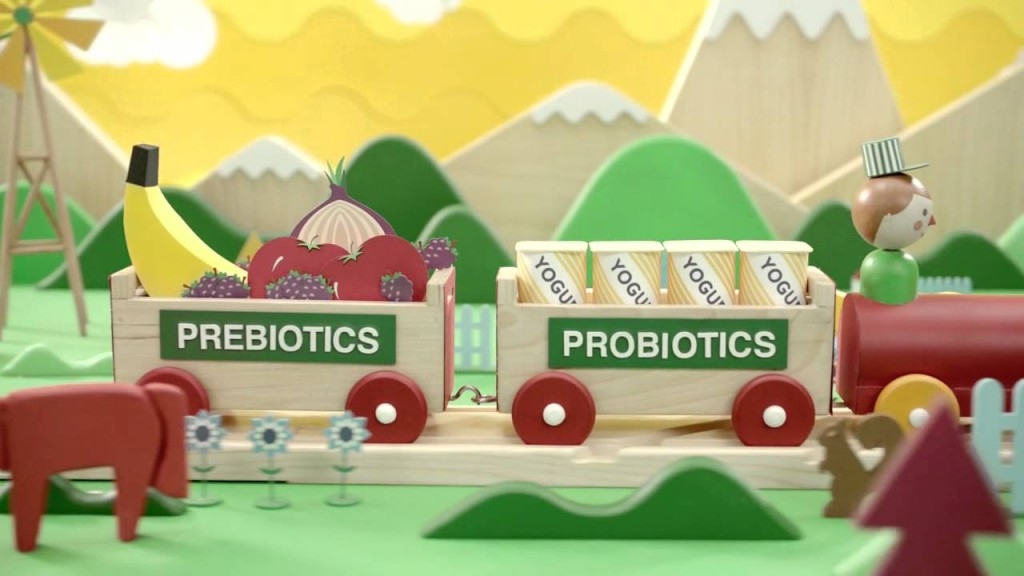 Пробиотики и пребиотики – что это такое?