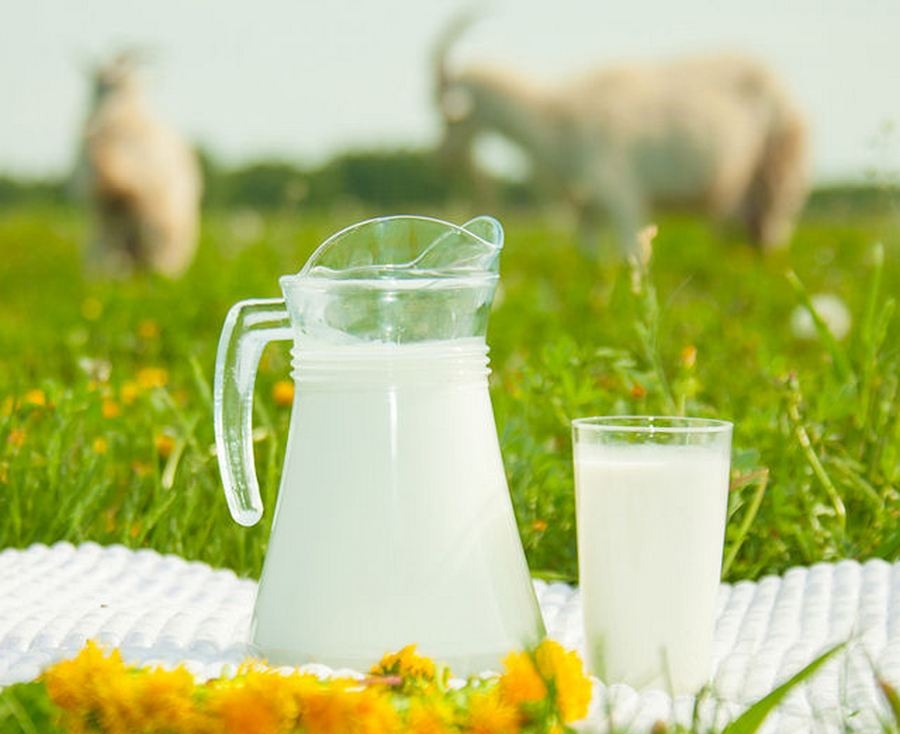 Смеси на козьем молоке: что предлагают компании?