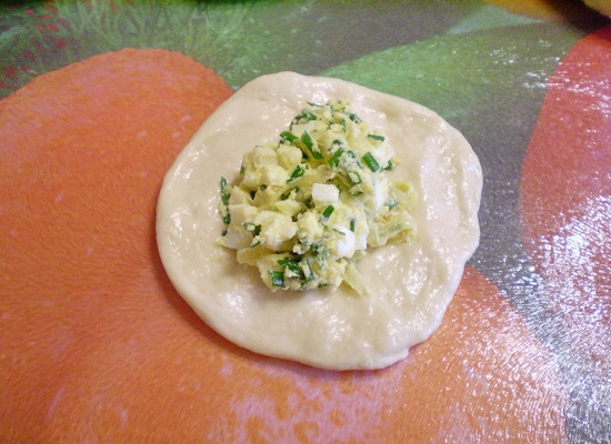 Пирожки с луком и яйцом на сковороде: начинка теста