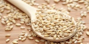 сколько варится перловка для рыбалки сколько варится перловка для рыбалки