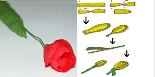 Тюльпаны и букеты из гофрированной бумаги