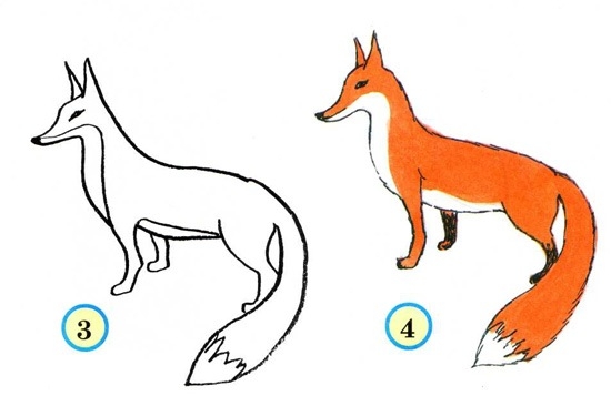 Уроки рисования: как изобразить лису?