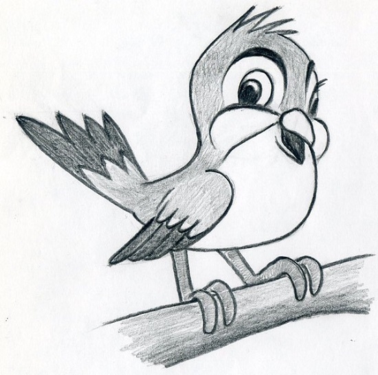 Как нарисовать птицу карандашом поэтапно для детей