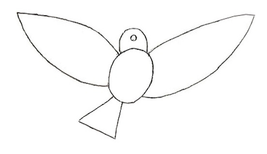 Как нарисовать птицу карандашом?