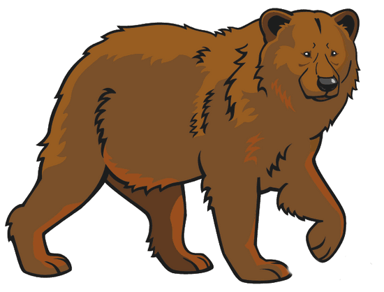 Как карандашом нарисовать бурого медведя