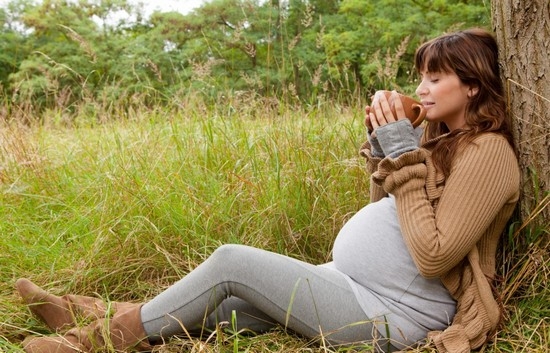 Разрешен ли иван-чай беременным женщинам? 