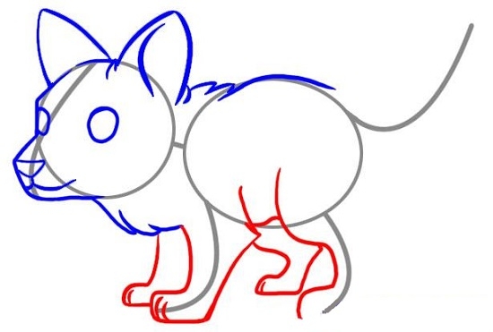 Как нарисовать доброго волка: шаг 5