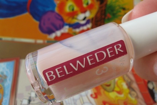 Belweder - польская компания