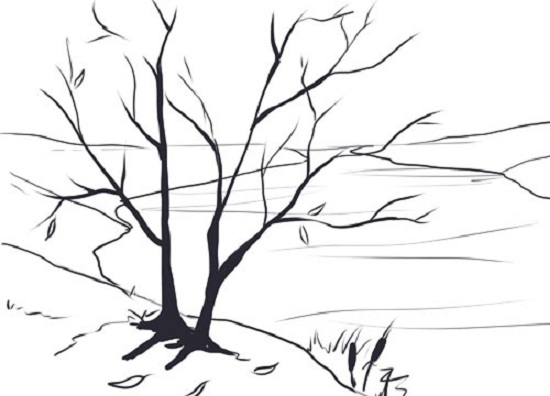 Как нарисовать пейзаж с деревом карандашом поэтапно для начинающих?