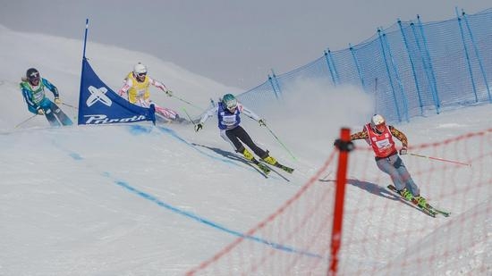 Лыжные виды спорта: ски-кросс