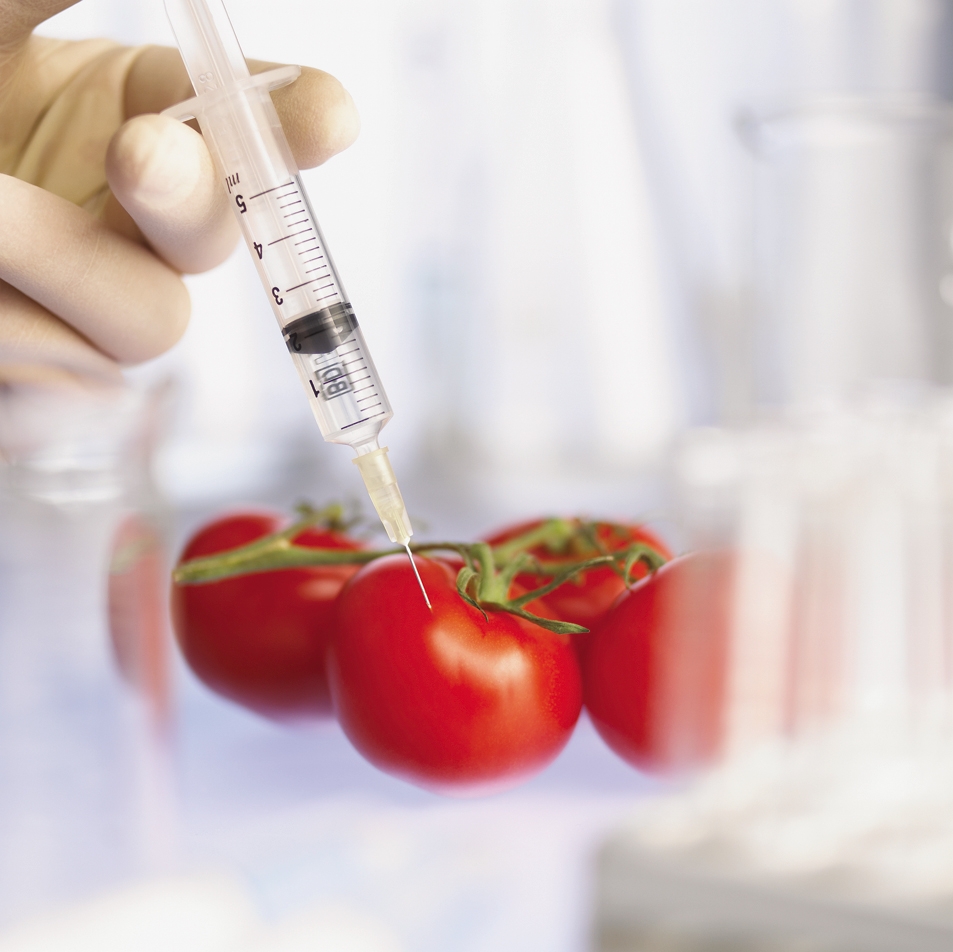 ГМО: список самых опасных продуктов и компаний