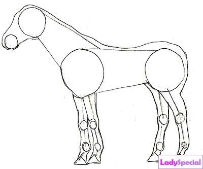 Третий этап рисования лошади карандашом
