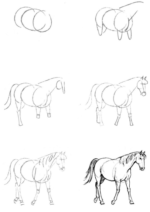 Рисунки карандашом животных для начинающих