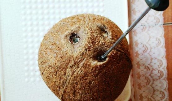 Как расколоть и открыть кокос в домашних условиях?