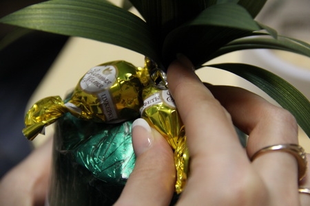 Ананас своими руками из конфет