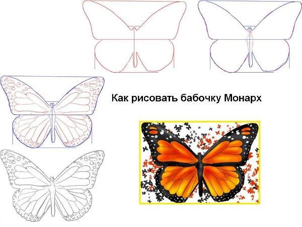 Как нарисовать бабочку?