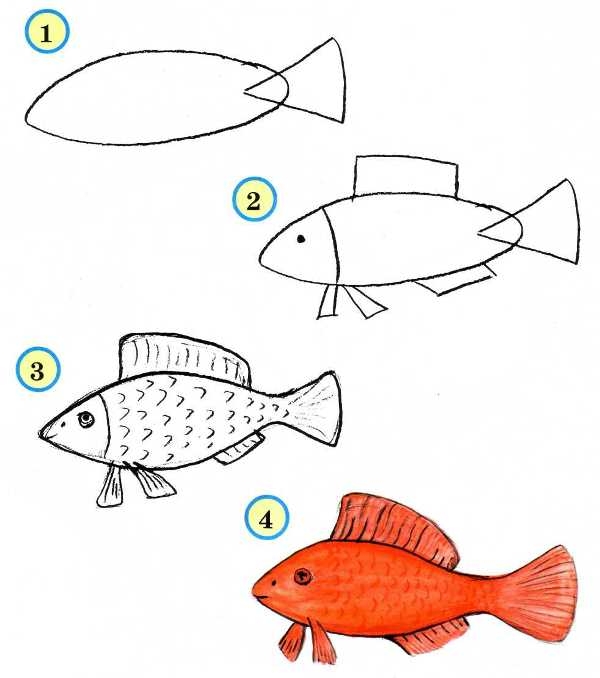 Как нарисовать рыбку?