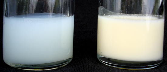 Как в домашних условиях определить уровень жирности материнского молока?