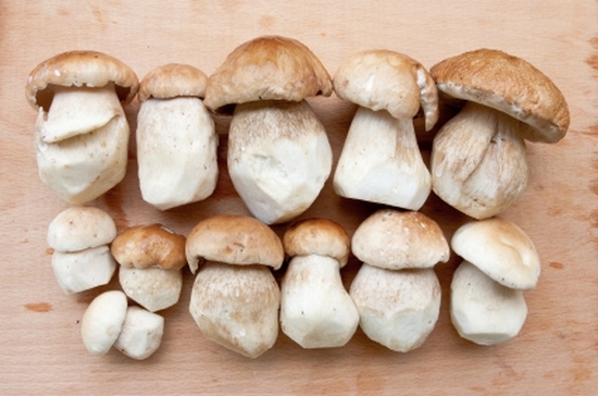 Как замариновать на зиму белые грибы?