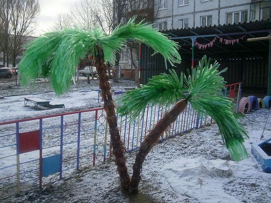 пальмы во дворе