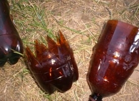 пальмы из пластиковых бутылок