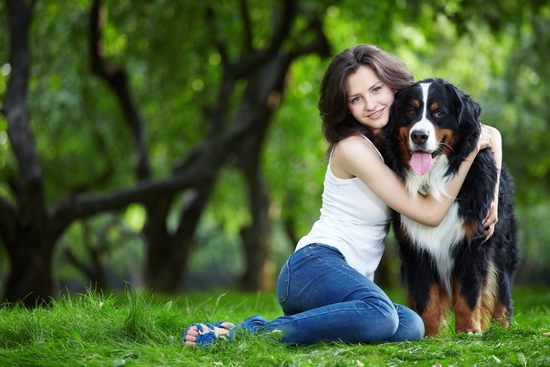 «Гамавит» для собак: отзывы ветеринаров и заводчиков