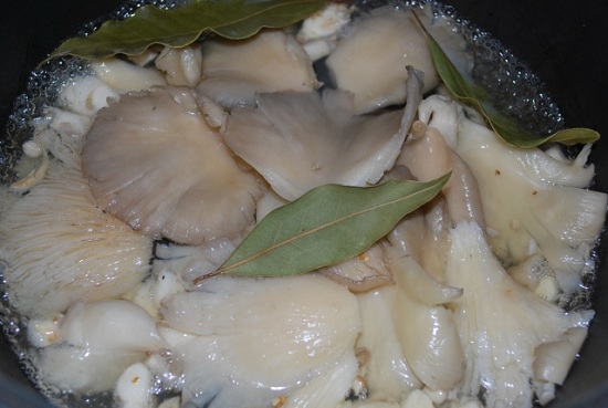 Грузинский рецепт приготовления вешенок: как варить грибы?