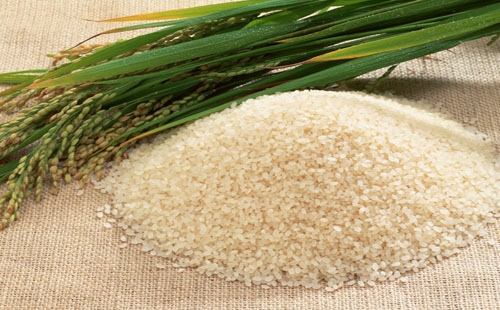 Зерна риса покрыты коричневой оболочкой, которая является основой рисовых отрубей