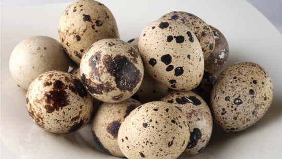 Сырые перепелиные яйца: польза без бед