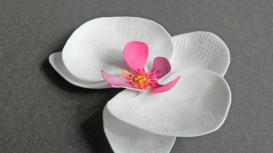 Как сделать орхидею из ревелюра?