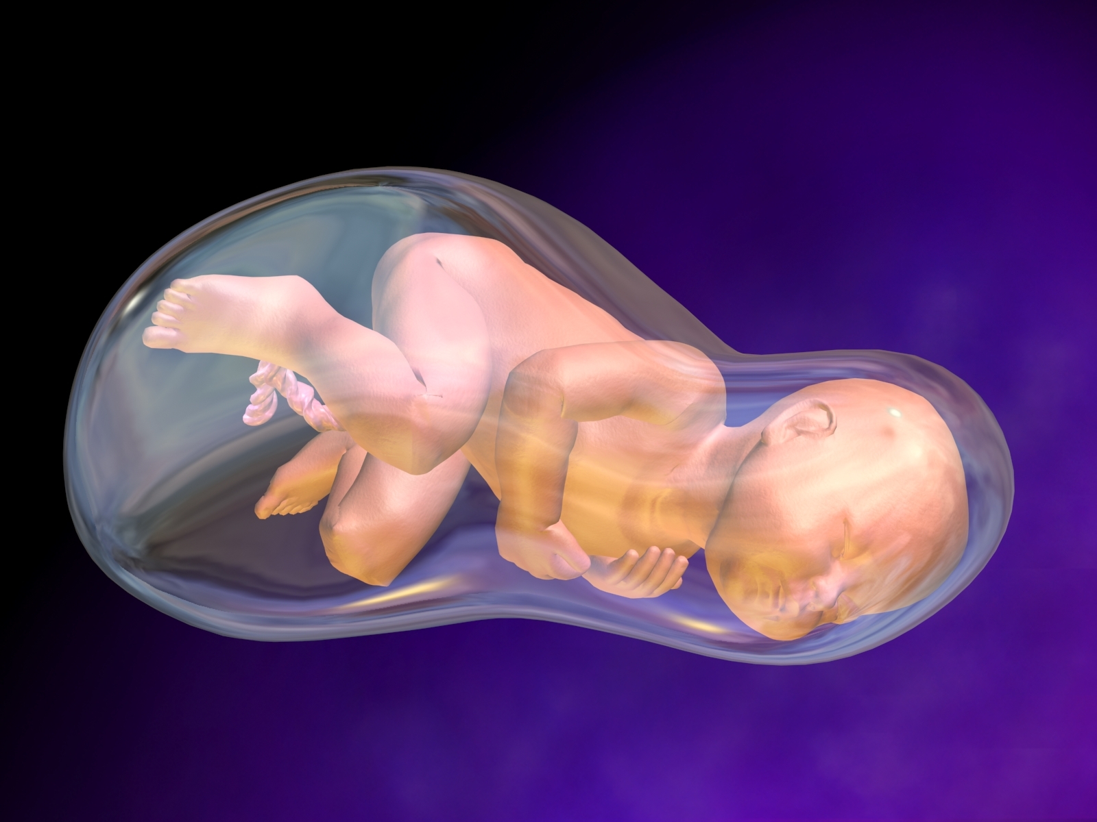 Что значит околоплодные воды. Амнион и околоплодные воды. Ребёнок ролился в рубашке. Эмбрион в плодном пузыре. Ребёнок родился в рубащшке.