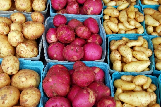 Тонкости выбора картофеля для пюре