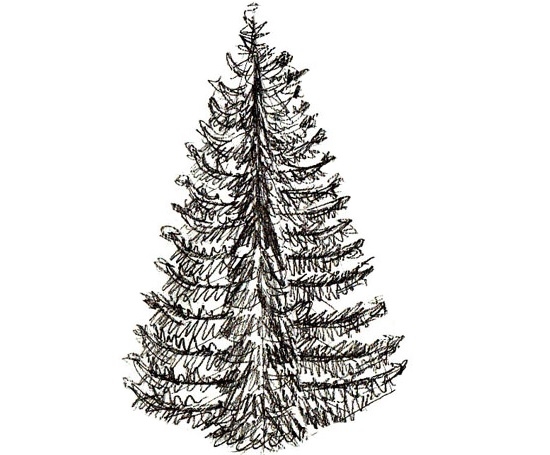 Рождественская елка: рисуем карандашами 5