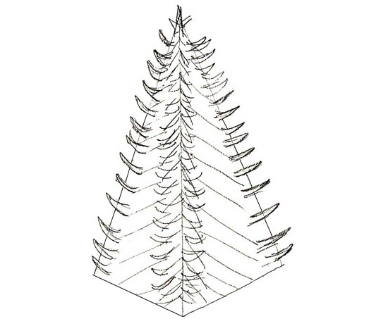 Рождественская елка: рисуем карандашами 3