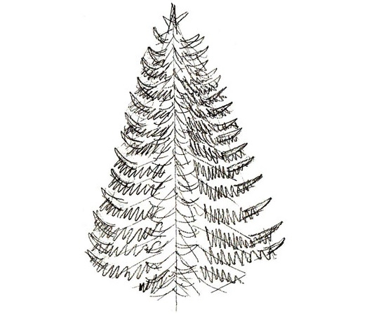 Рождественская елка: рисуем карандашами 4